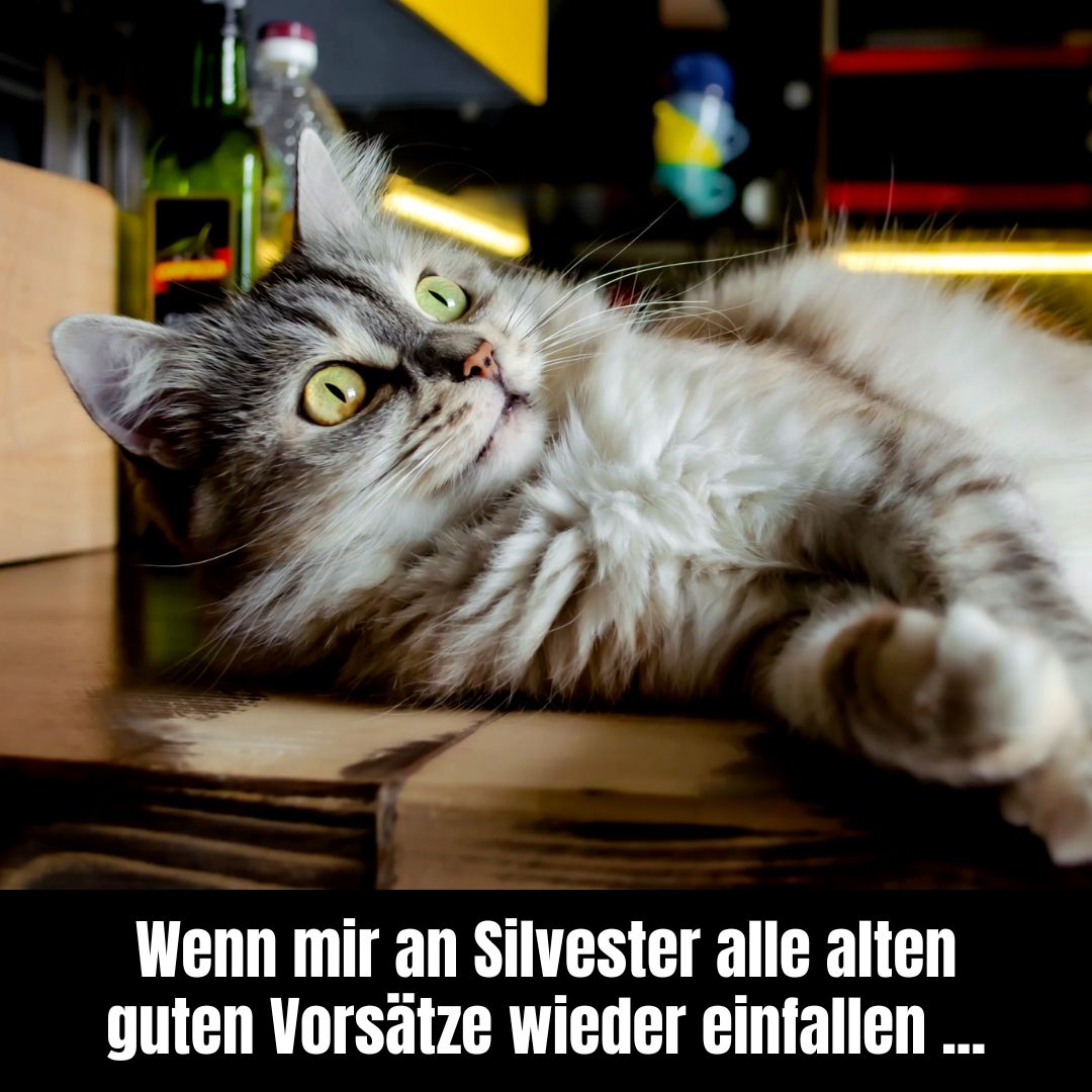 Beige schwarzes Meme mit Katzenfoto Silvester Neujahr Gute Vorsatze