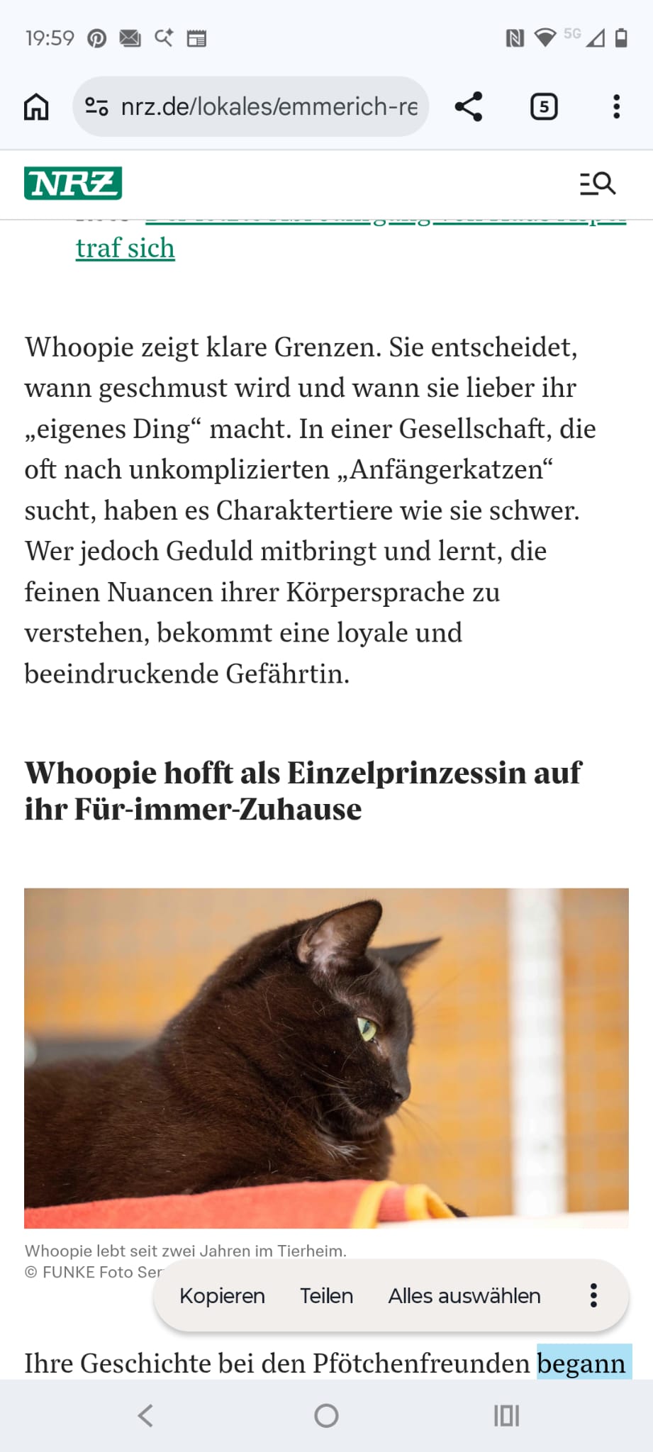 WhoopieZeitung6